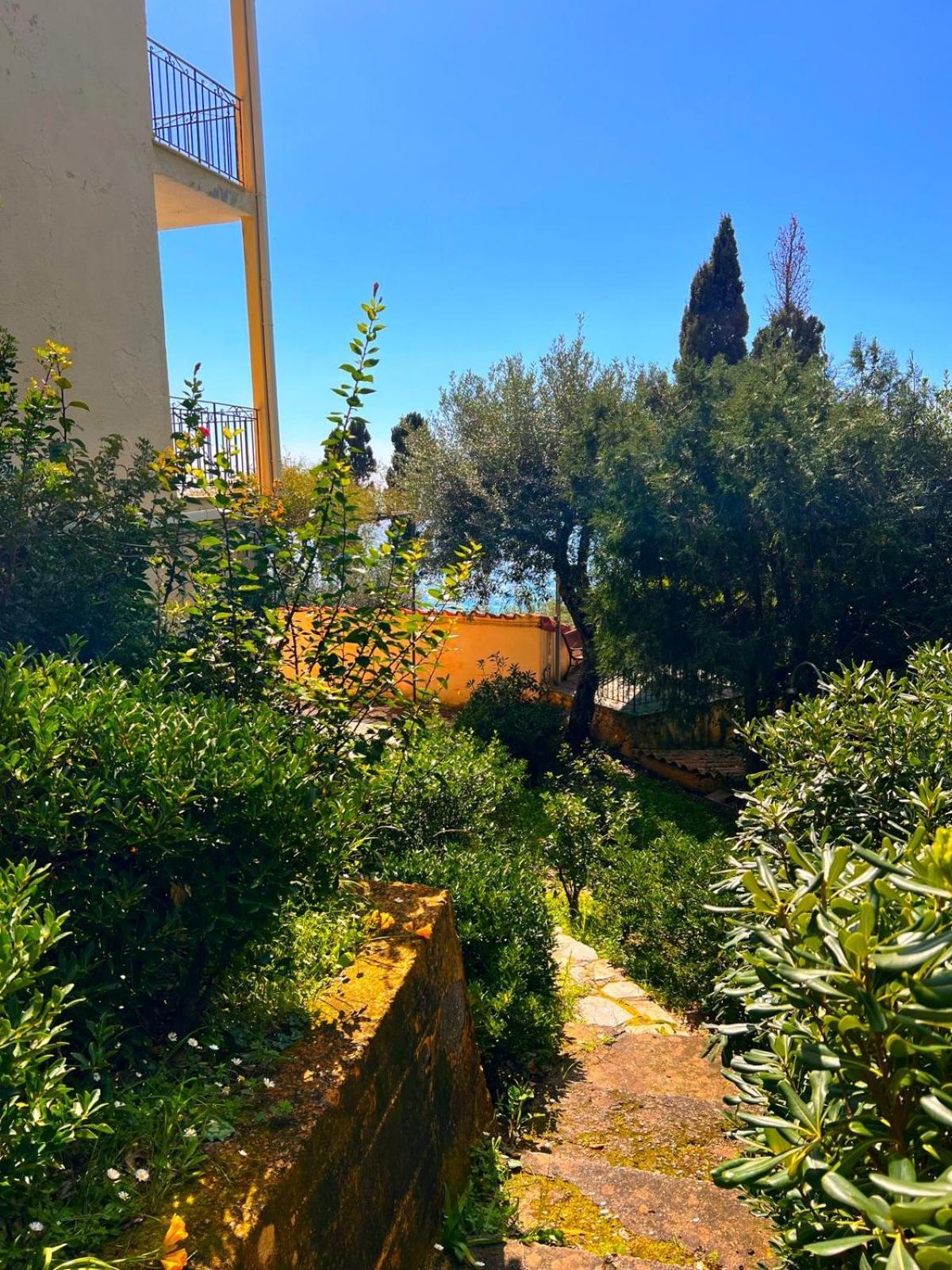 Stefanos By Sv Alians 公寓 Agios Gordios (Corfu)