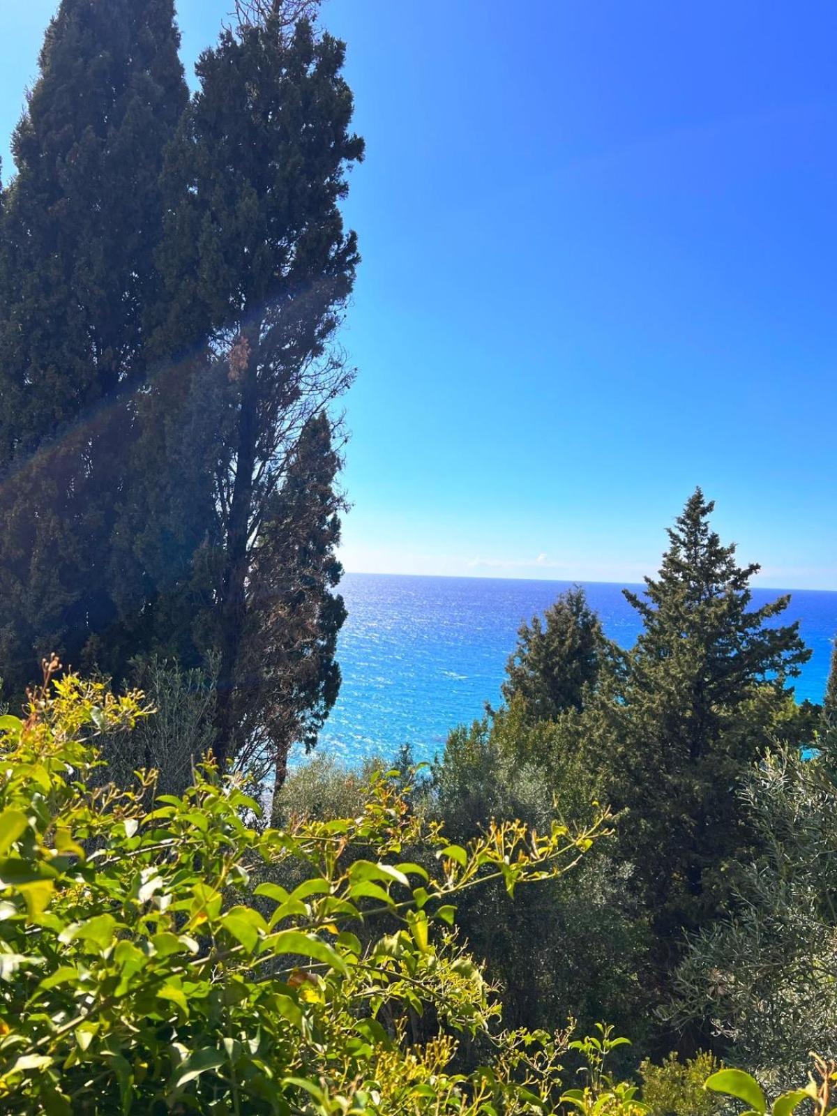 公寓 Stefanos By Sv Alians Agios Gordios (Corfu)